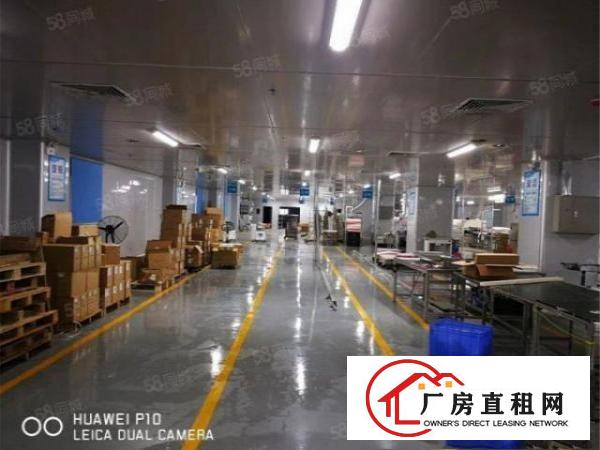 急租大朗标准工业区无尘车间3500方，九成新，办公无尘齐全