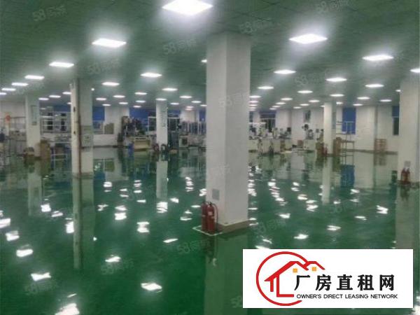  急租大朗标准工业区无尘车间3500方，九成新，办公无尘齐全
