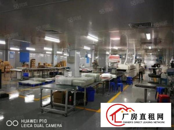  急租大朗标准工业区无尘车间3500方，九成新，办公无尘齐全