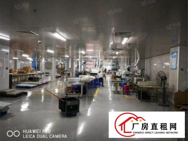  急租大朗标准工业区无尘车间3500方，九成新，办公无尘齐全