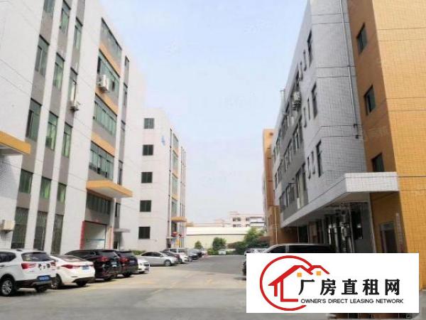  本厂房只租一楼，面积2100平，高度7.5米，有牛角。