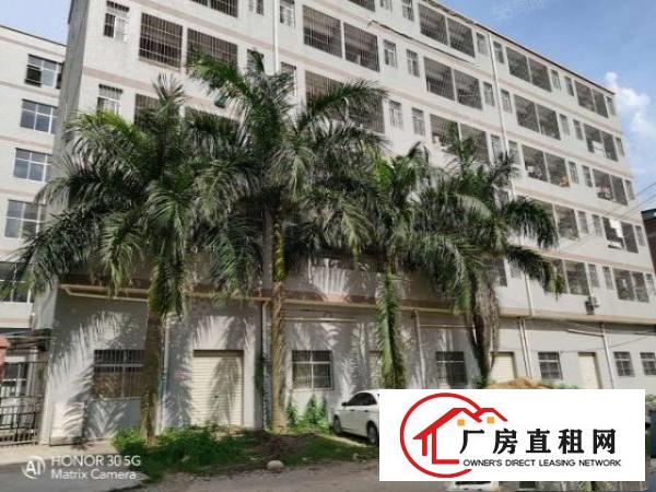  洋乌小面积超大空地工业园