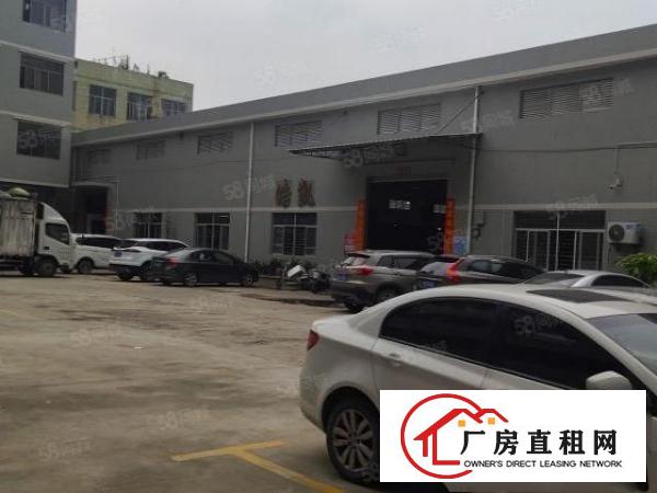  大朗新马莲单一层经典小独院滴水7米砖墙到顶