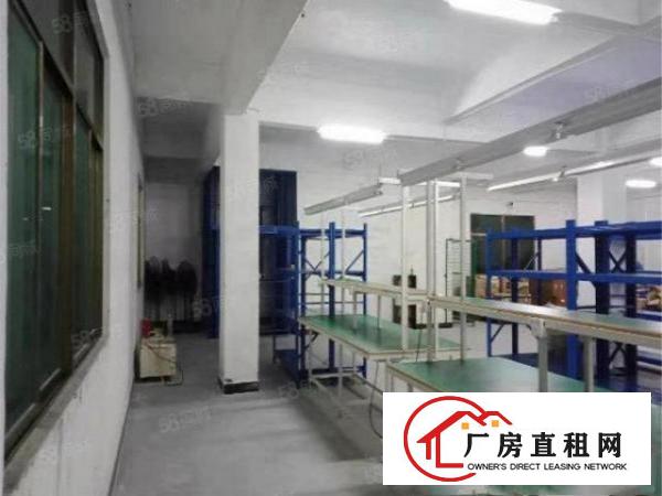  12元，免转让费，大朗新出楼上厂房500方，水电齐全空地大