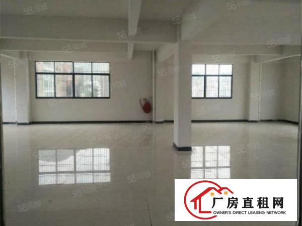  12元，免转让费，大朗新出楼上厂房500方，水电齐全空地大
