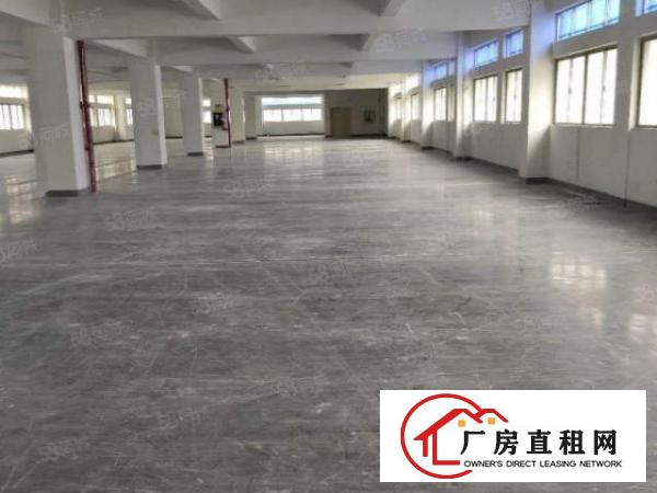  大朗象山900平11块全包实际面积厂房原房东精装修