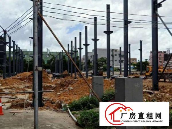  大朗新出原房东单一层11米高，13000千米