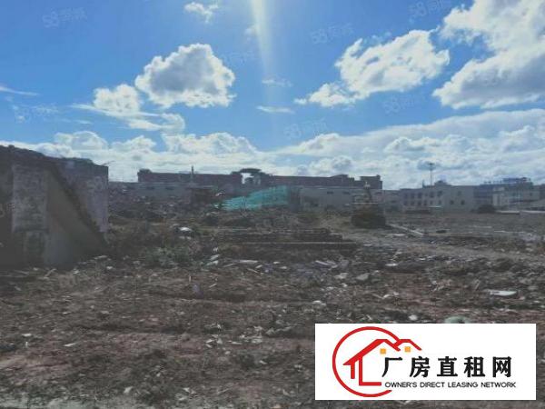  大朗新出原房东单一层11米高，13000千米