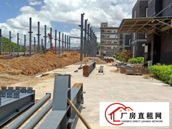  大朗新出原房东单一层11米高，13000千米