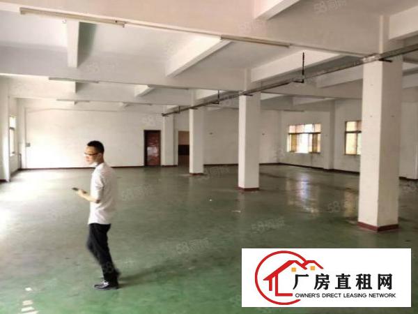  莞樟路边，独门独院一楼1100平，带现成办公室