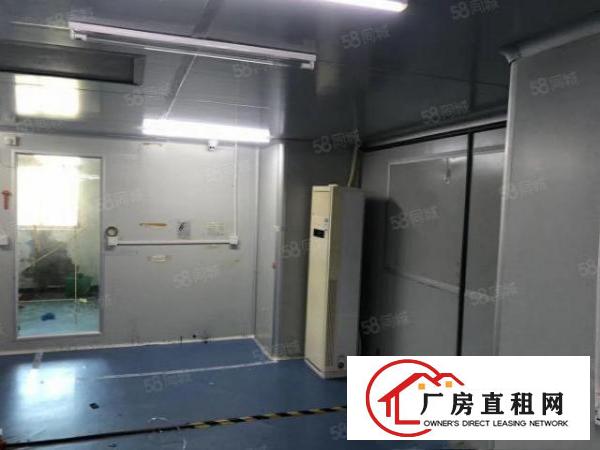  大朗黎贝岭新出600平11块全包实际面积无尘车间精装修