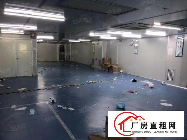  大朗黎贝岭新出600平11块全包实际面积无尘车间精装修