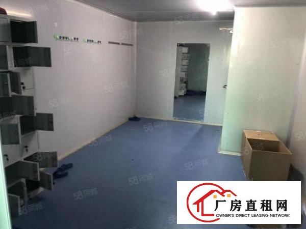  大朗黎贝岭新出600平11块全包实际面积无尘车间精装修