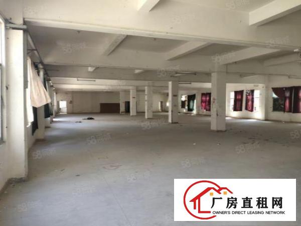  大朗黎贝岭独院厂房，单层1300平，可分租，宿舍按需