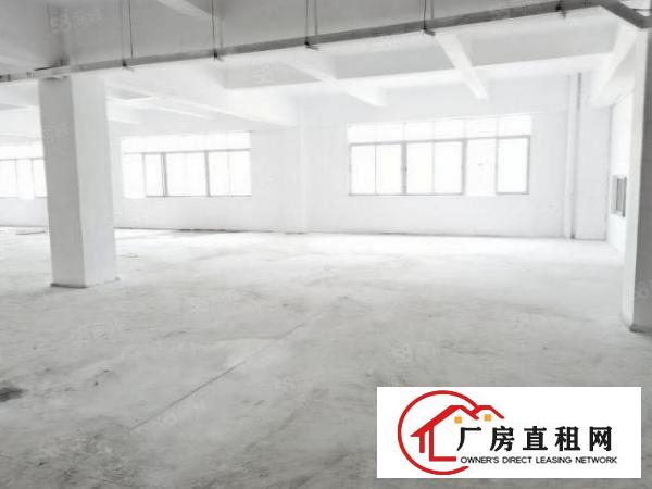  急租紧邻松山湖重工业红本厂房全新装修交通方便按需分租