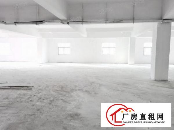  急租紧邻松山湖重工业红本厂房全新装修交通方便按需分租