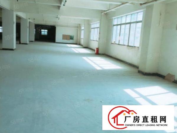  急租紧邻松山湖重工业红本厂房全新装修交通方便按需分租