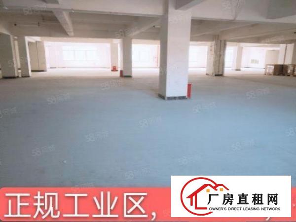  急租紧邻松山湖重工业红本厂房全新装修交通方便按需分租