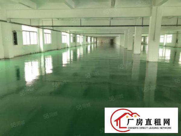  大朗巷尾标准厂房3200平全新地坪漆办公室豪华装修