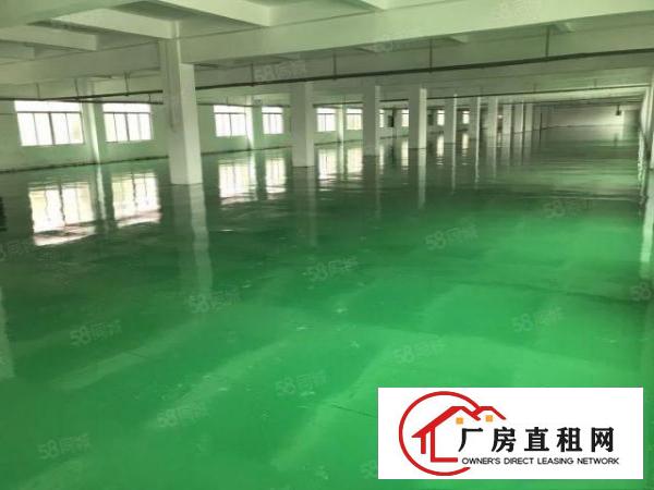  大朗巷尾标准厂房3200平全新地坪漆办公室豪华装修