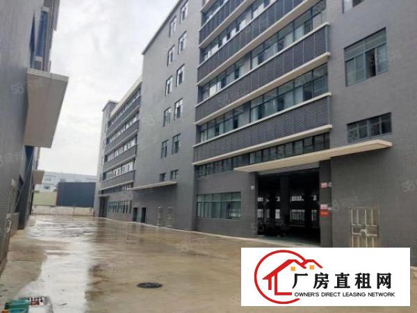  大朗象山超靓一楼1100平带牛角实际面积原房东工业用地精装修