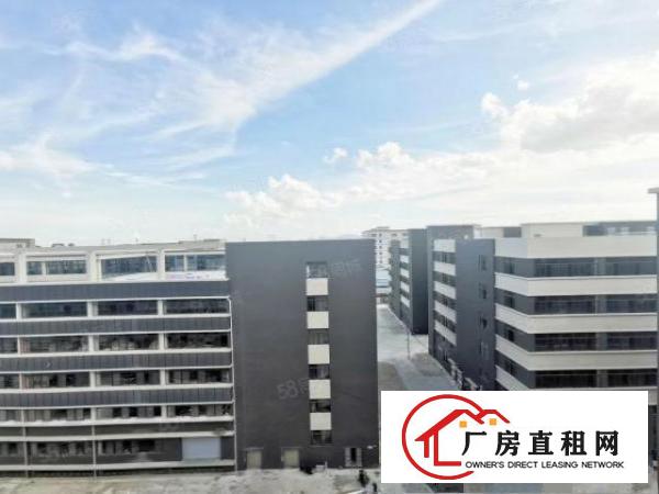  大朗象山超靓一楼1100平带牛角实际面积原房东工业用地精装修