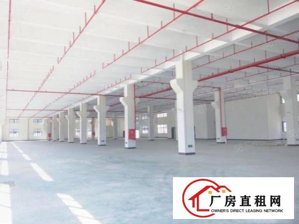  大朗象山超靓一楼1100平带牛角实际面积原房东工业用地精装修