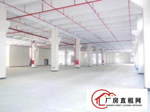  大朗象山超靓一楼1100平带牛角实际面积原房东工业用地精装修