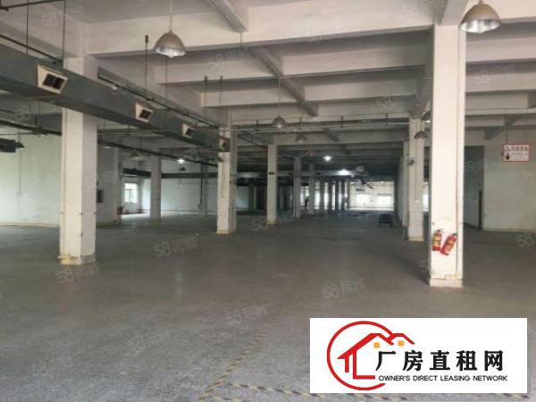  大朗洋乌原房东独院厂房出租