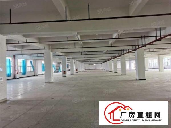  大朗工业园分租500至10000方，工业用地可办环评消防喷淋