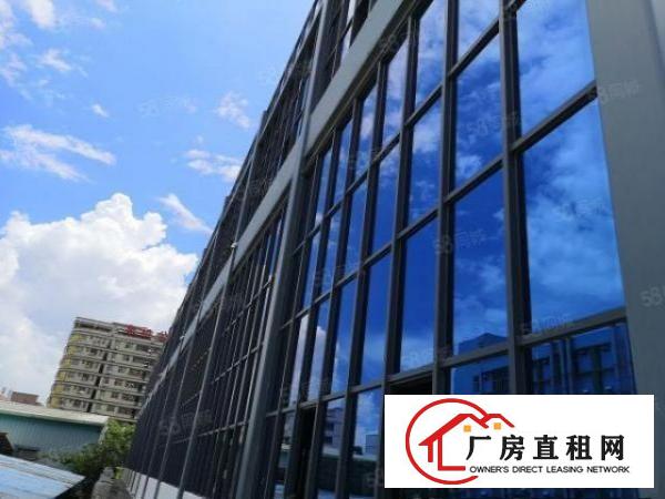  大朗大井头第二工业区独院钢构厂房6000平米12层欢迎来电