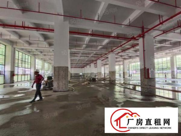  大朗富民工业园独院厂房原房东12000平工业用地可办环评