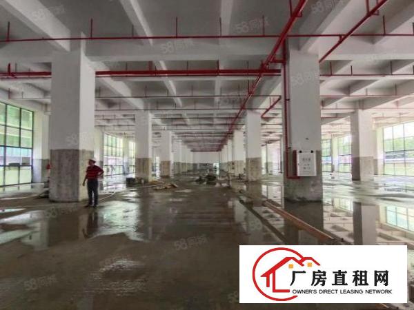  大朗富民工业园独院厂房原房东12000平工业用地可办环评