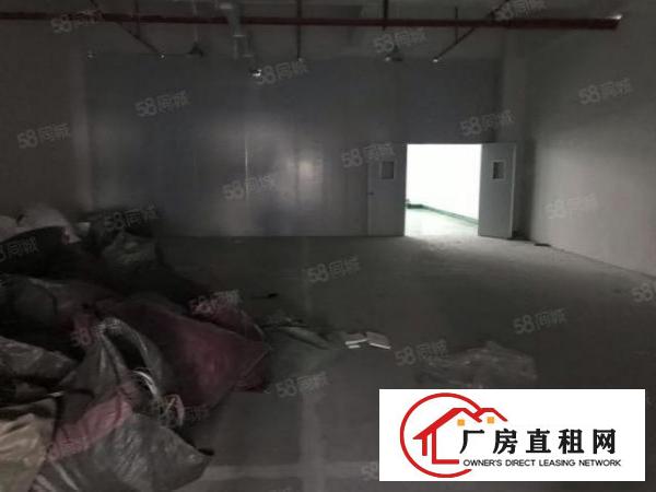  大朗镇全新标准厂房1050平出租带消防喷淋价格实惠
