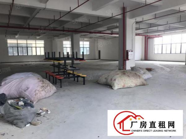  大朗镇全新标准厂房1050平出租带消防喷淋价格实惠