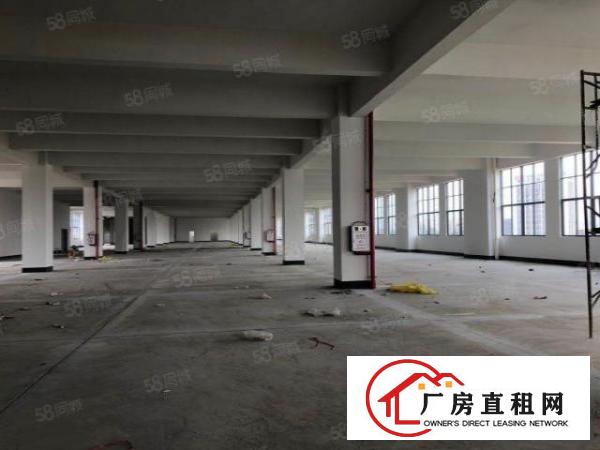  大朗黄草朗全新独院标准厂房9000平出租大小可分租可办环评