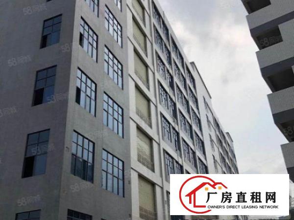  大朗黄草朗全新独院标准厂房9000平出租大小可分租可办环评