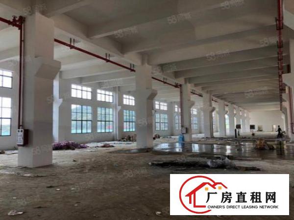  大朗黄草朗全新独院标准厂房9000平出租大小可分租可办环评