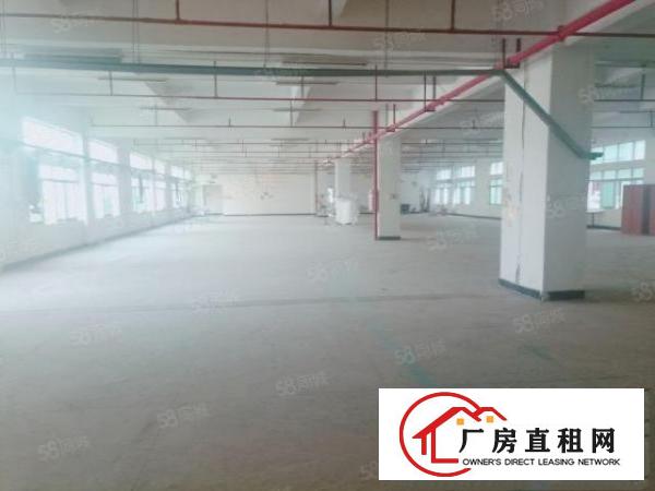  大朗新出独门独院原房东厂房招租