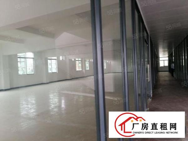  大朗新马莲标准厂房一楼700平出租，豪华装修拎包生产