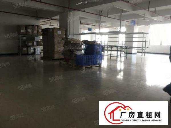  大朗800平精装修车间10块全包实际面积原房东
