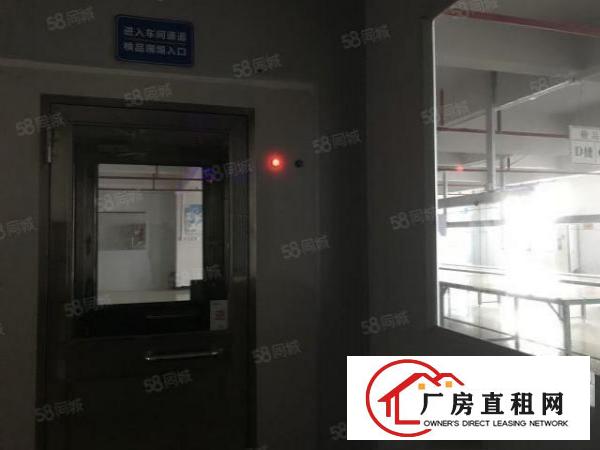  大朗800平精装修车间10块全包实际面积原房东