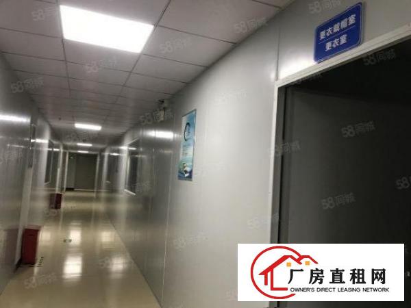 大朗800平精装修车间10块全包实际面积原房东