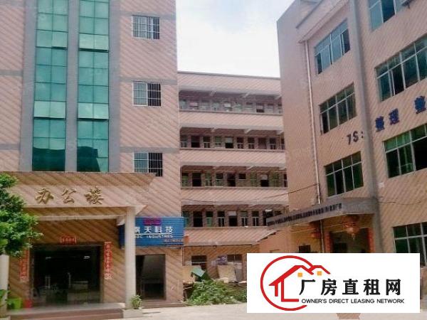  大朗高速路口新出独院厂房带精装办公楼