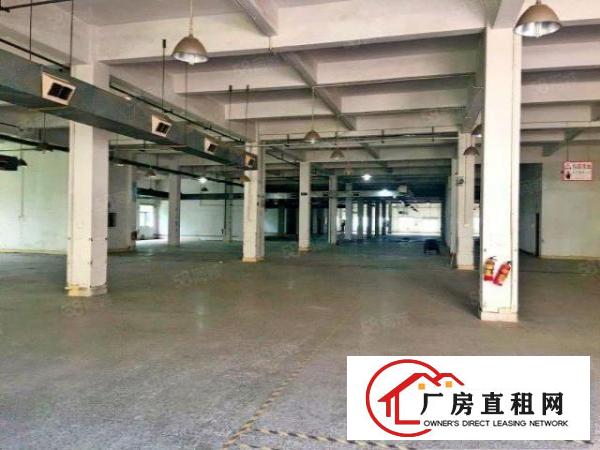  大朗高速路口新出独院厂房带精装办公楼