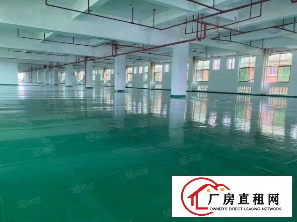  大朗新出原房东总面积约79500平方花园式厂房