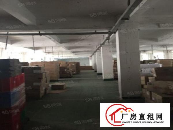  大朗高英村成熟工业园内独栋标准厂房1000平出租