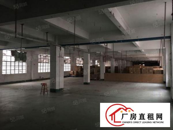  大朗高英村成熟工业园内独栋标准厂房1000平出租