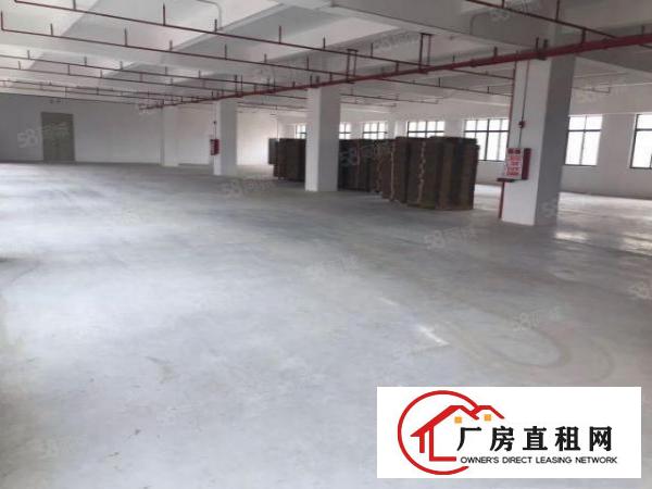  大朗洋乌新空出标准厂房3860平可分租空地大，可办环评