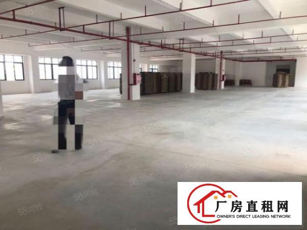  大朗洋乌新空出标准厂房3860平可分租空地大，可办环评